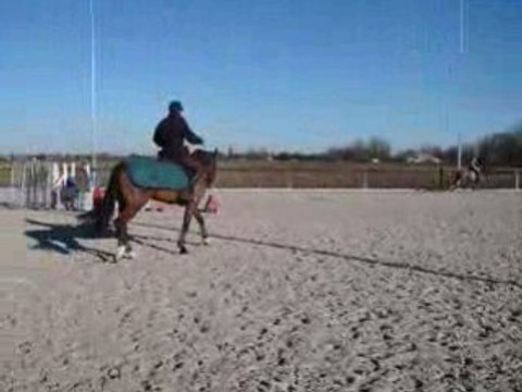 Pheno premiere seance montée