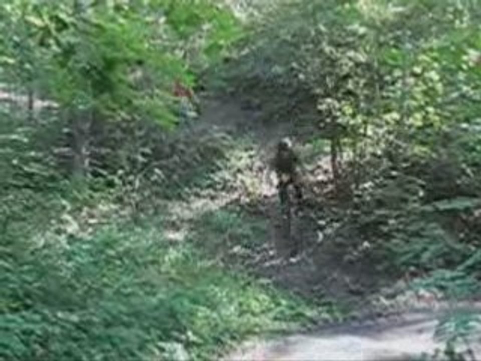 Ride bien répartit