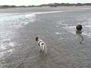 DALLYA promene plage