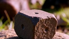 El animal que hace heces en forma de cubo