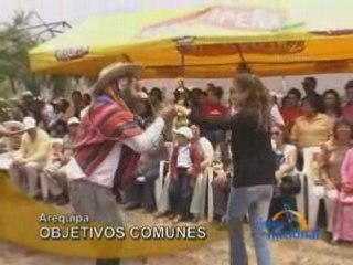 OBJETIVOS COMUNES - AREQUIPA