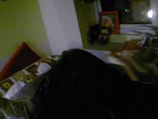 jojo fait sont chaud