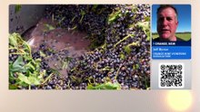 Climate change forcing impacting wine regions across Australia