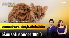 พบแมวป่าสายพันธุ์ใหม่ในโบลิเวีย ครั้งแรกในรอบกว่า 100 ปี | ทันโลก EXPRESS | 20 ก.ย. 69