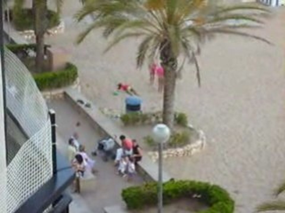 écatombe