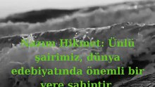 İlginç kısa videolar
