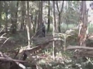 Airsoft Scorpion and Sniper Ransart