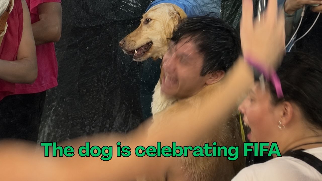 Fan Holds Up A Dog To Celebrate  Spain's FIFA World Cup Win