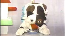 27回25番 ミケにごはん