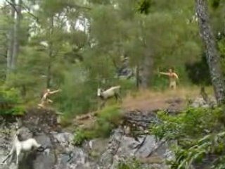 Chasse aux  chevaux préhistoriques !