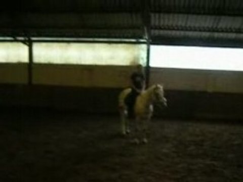 Le 21 07-2008 Romain et Raphaël