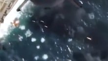 الموج الأخير... حين يختلط الجنون بالشجاعة! 🌊🔥  The Final Wave – Where Madness Meets Bravery!) [krm-uSGfFz0]
