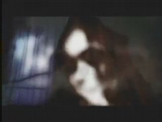 Alchemist - Alpha Capella Nova Vega