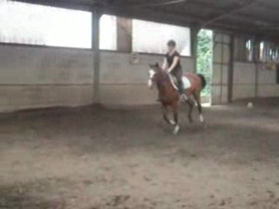 SDC10072