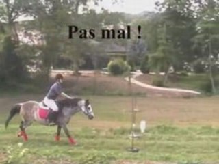 Séance d'obstacle du 14 juillet 2008