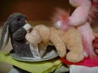 La vie privée des animaux... en peluche !