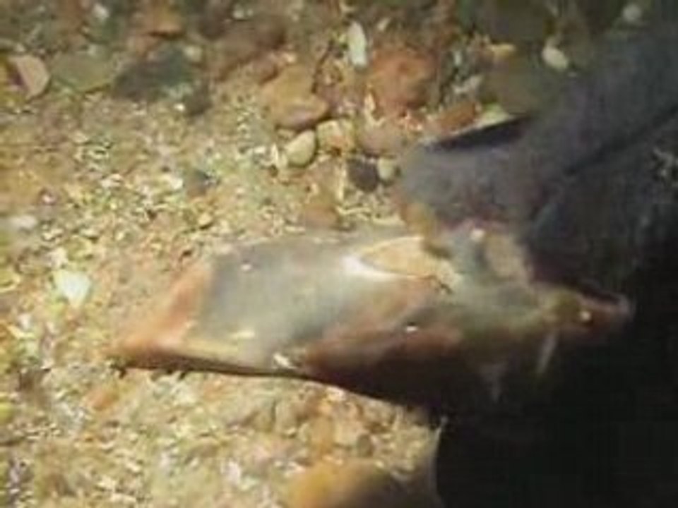 Carrière aux silex
