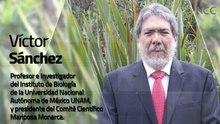 Reporte Climático 268 |  La Monarca y el Clima: El Desafío de Conservar una Migración
