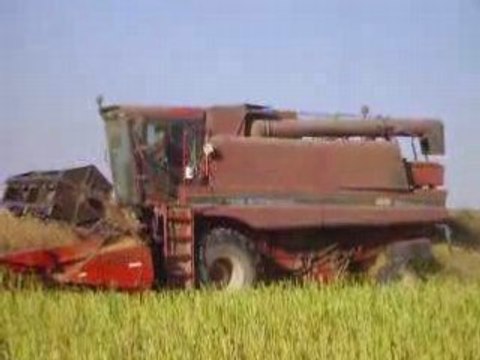 Colza2008 avec axial flow 1640