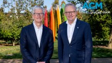 Albanese spruiks social media reforms with Apple's Tim Cook