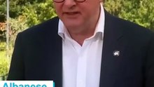 Albanese spruiks social media reforms with Apple's Tim Cook