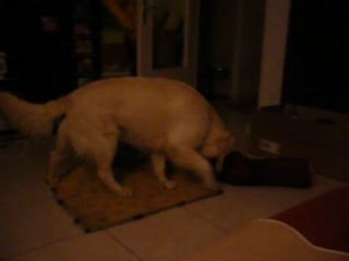 Cuzco et les coussins