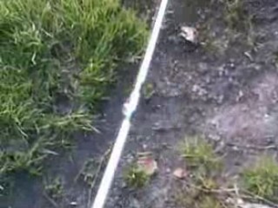 Pêcheurs du dimanche 1