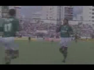 Botafogo 3 x 1 Palmeiras Brasileiro 1998