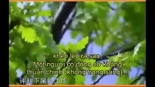 [vietsub] Trí tuệ của Kinh Dịch | Tập 47 Quẻ Lâm (hạ): Thân lâm hiện trường