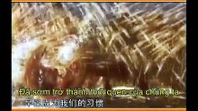[vietsub] Trí tuệ của Kinh Dịch | Tập 48 Quẻ Quán (thượng): Quan sát chiêm ngưỡng