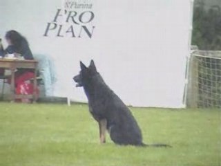 Vulcan ring 1 St Urbain 2008