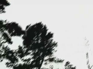 Darkthrone-Transilvanian Hunger