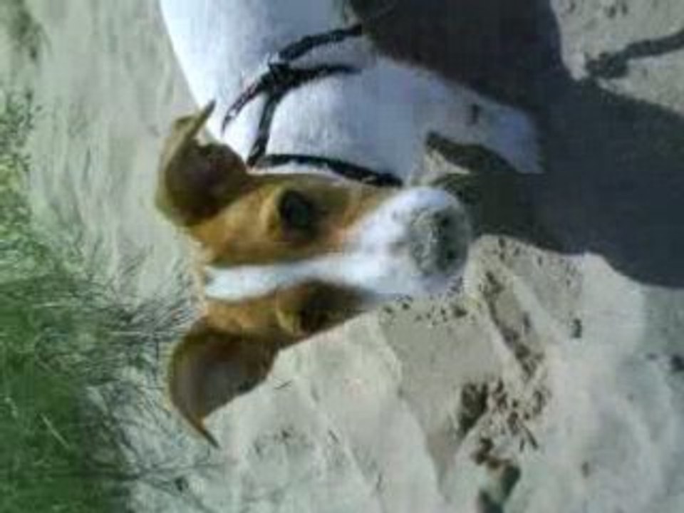 LunA dans le sable