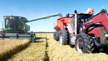 Rice industry calling for more water for a viable future