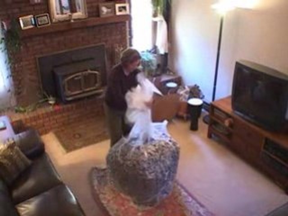 Bean Bag Furniture -- Bean Bag Zone