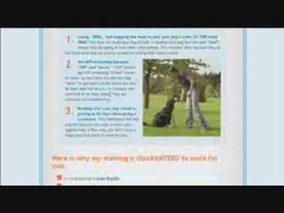 Dove Cresswell Dog and Puppy Training - Free Lesson