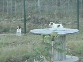 Le repas de nos landais