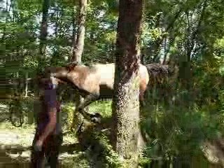 Travail en main : contre bas