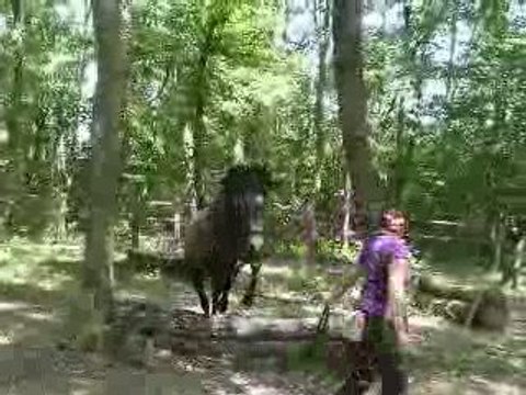 Travail en main : passage de tronc