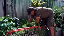 Local governments push for people to sort waste correctly