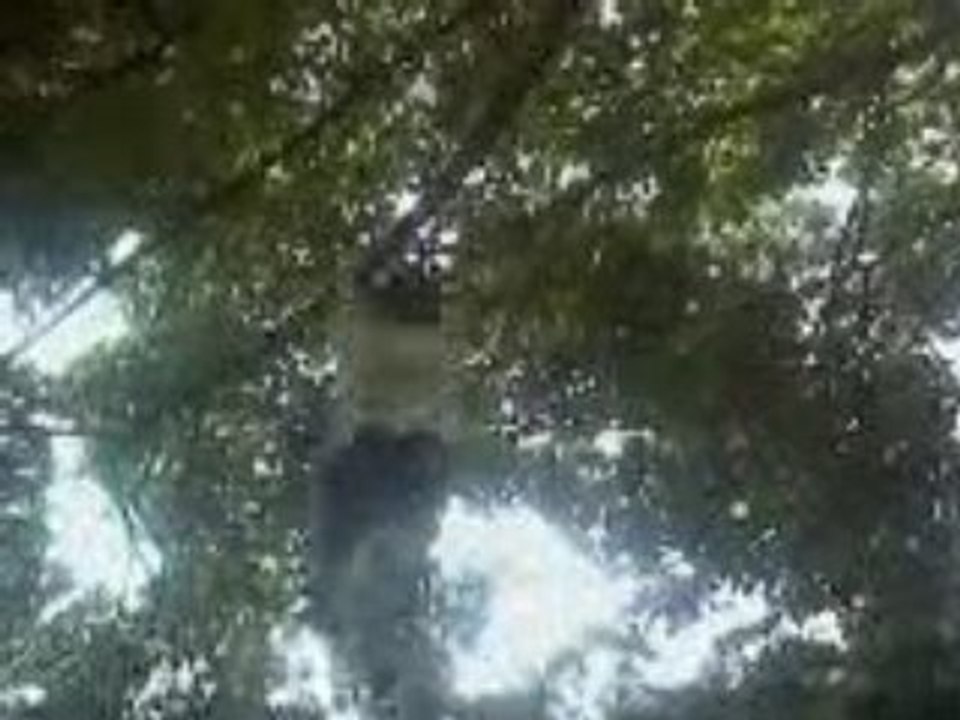 tdd street   Yamakasi toit 02