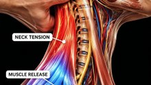 😮 The Hidden Cause of Pain at the Base of Your Skull