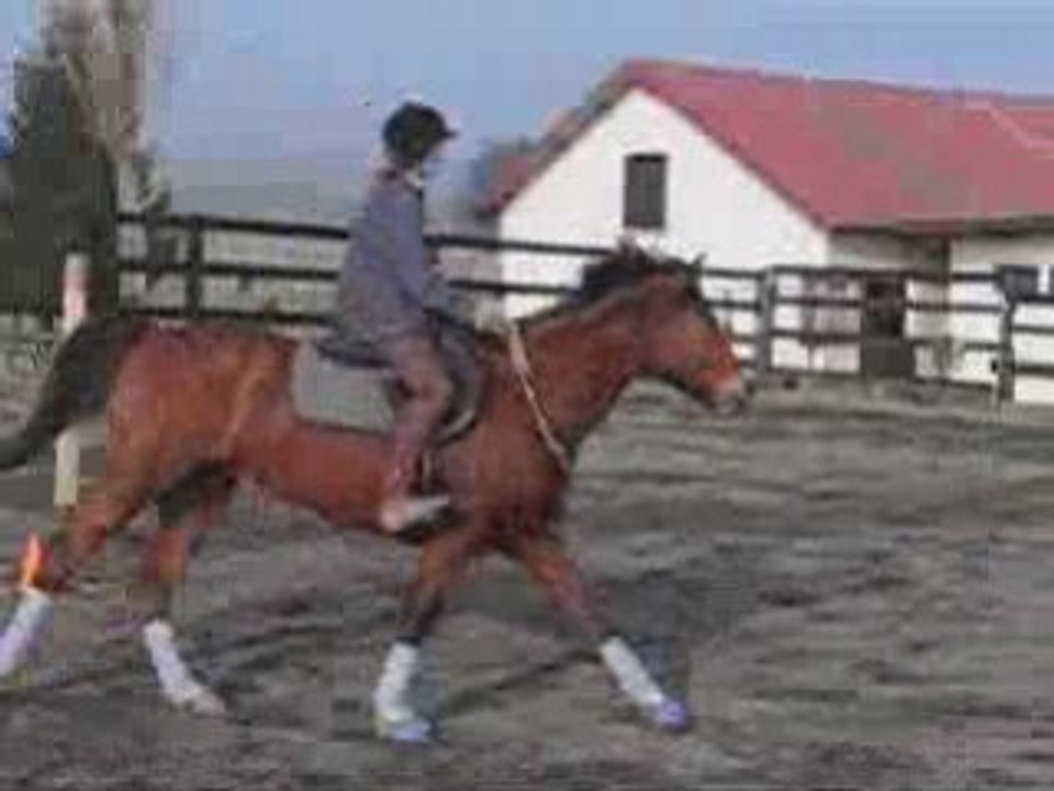 Fevrier2005.monte