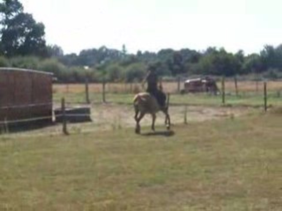 Petit trot =D