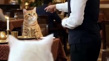Haluk Peker_s short video with ♬ orijinal ses