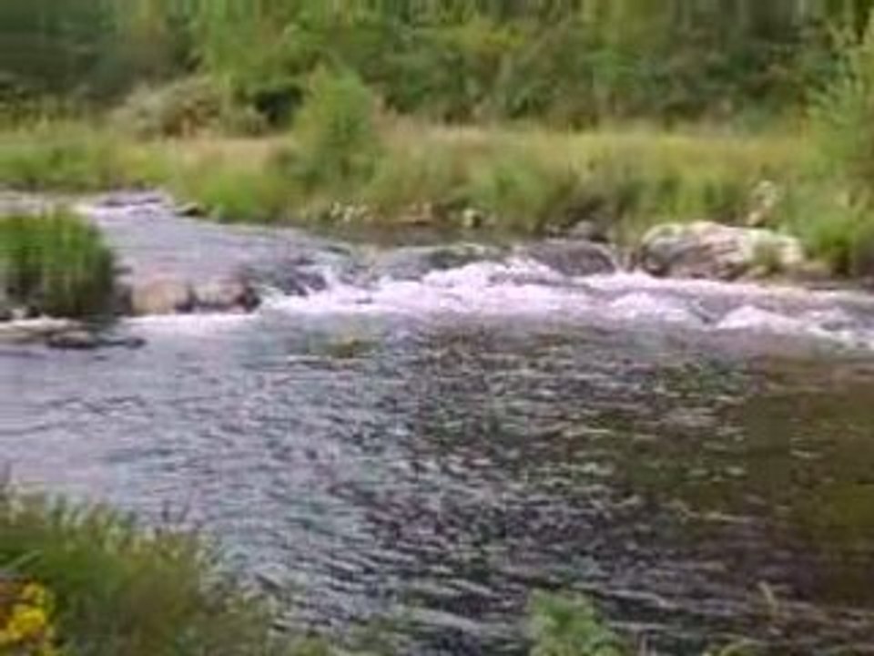 Paysage de Haute Loire pendant la randonnée