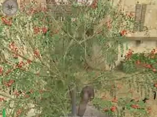 Level Carambar mohaa