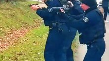 Son chien s’arrête dans la forêt… ce qu’elle découvre va la choquer 😳