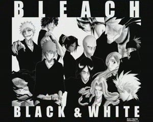 Diapo  bleach