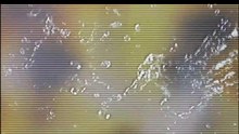 Dolby Digital Rain